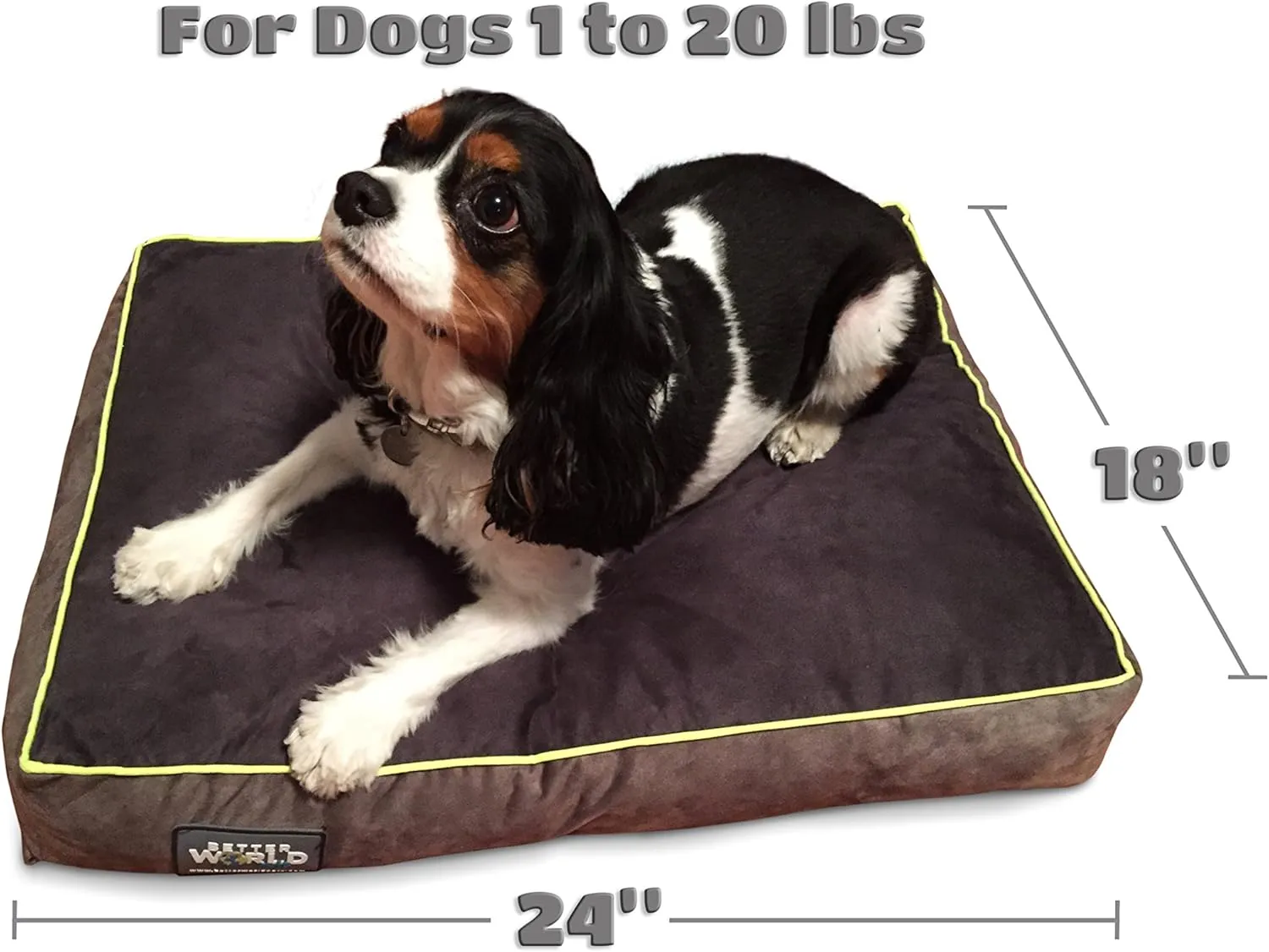 5-inch Thick Orthopedic Dog Bed | Pure Premium Shredded Memory Foam Ideal for Aging Dogs | Waterproof Removable Washable Cover