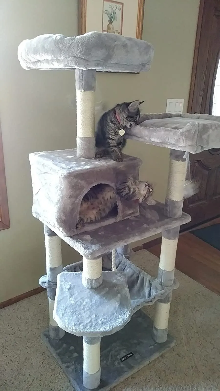 56.3 inches Multi-Level Cat Tree with Hammock, Cat Tower for Large Cats