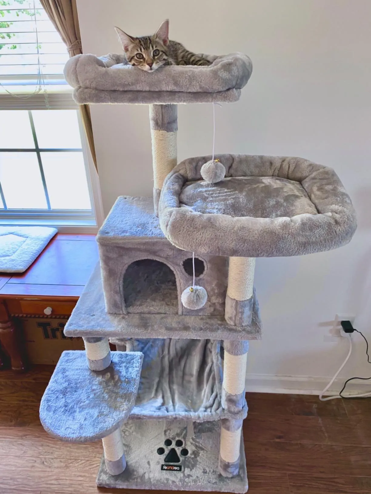 56.3 inches Multi-Level Cat Tree with Hammock, Cat Tower for Large Cats