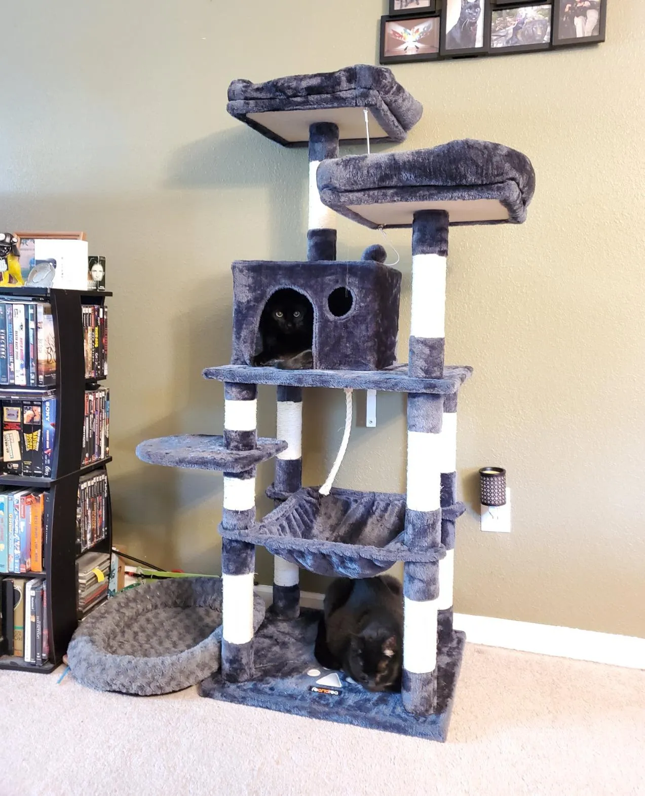 56.3 inches Multi-Level Cat Tree with Hammock, Cat Tower for Large Cats