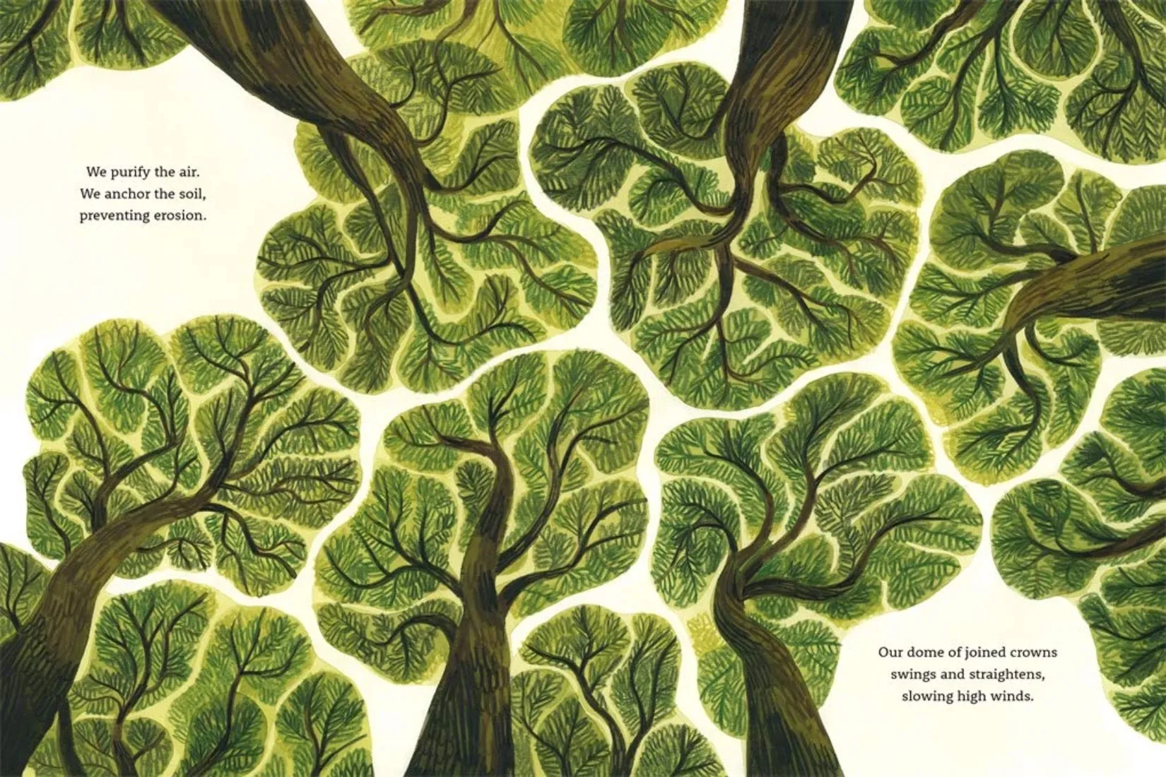 Be a Tree! - Hardcover