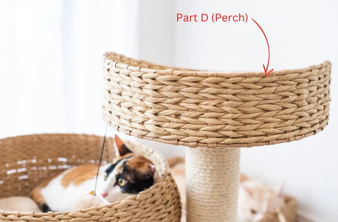 Cat Activity Tree | Cozy Natural