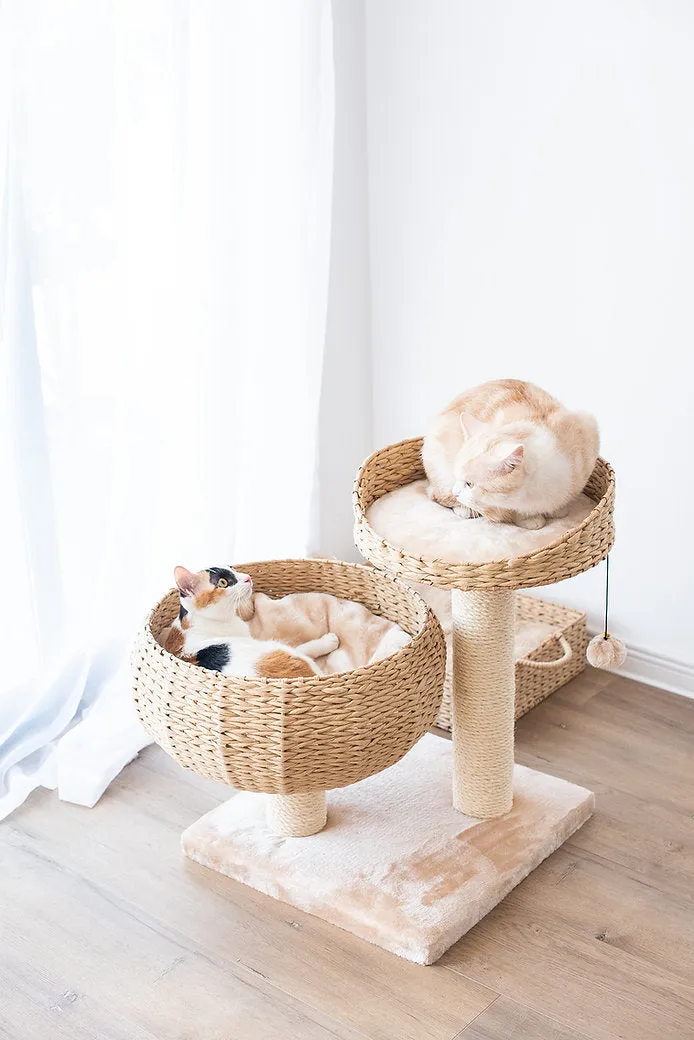 Cat Activity Tree | Cozy Natural
