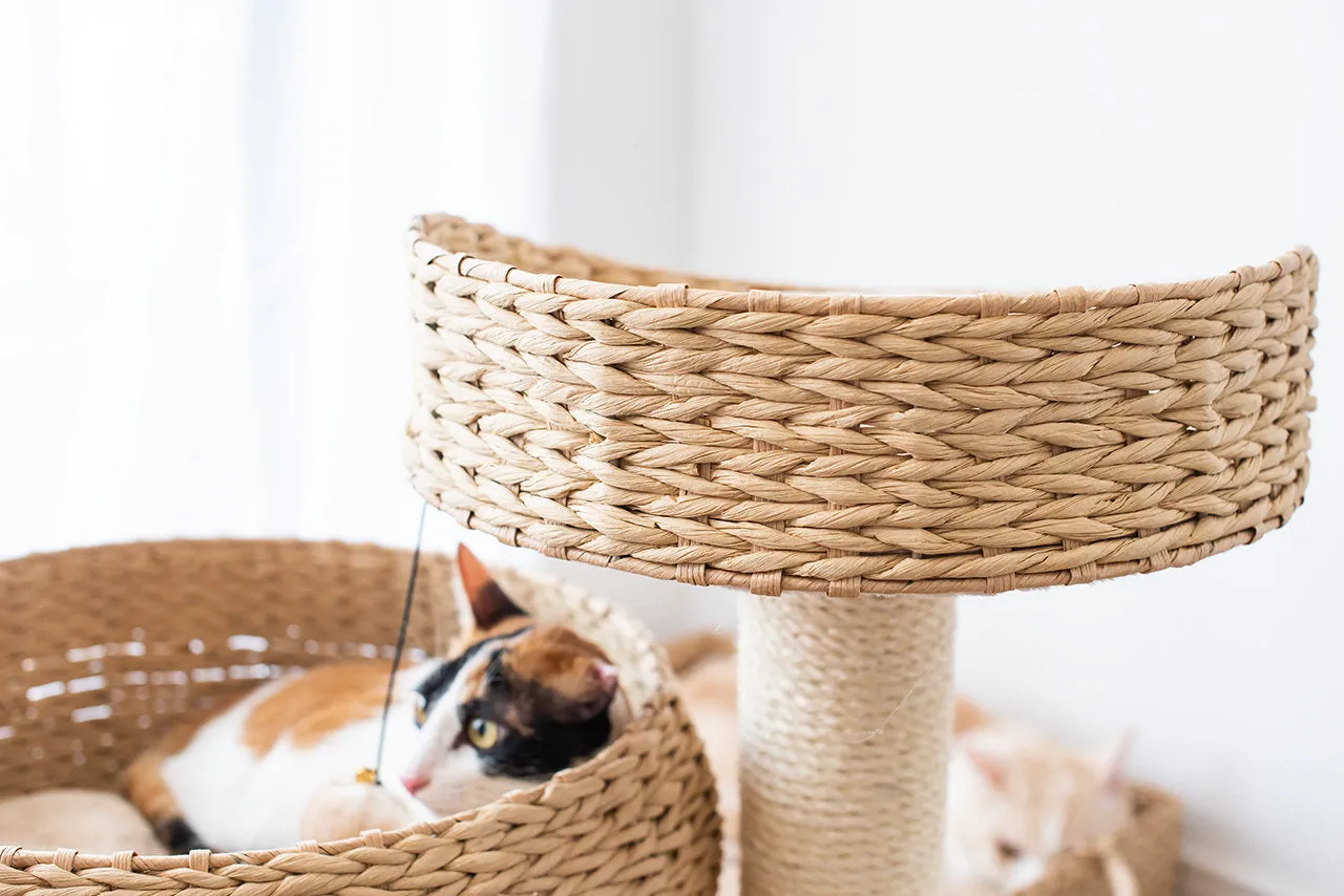 Cat Activity Tree | Cozy Natural