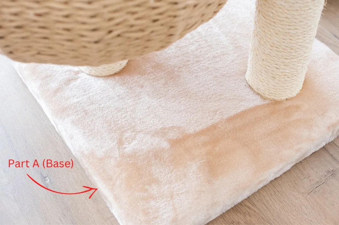 Cat Activity Tree | Cozy Natural
