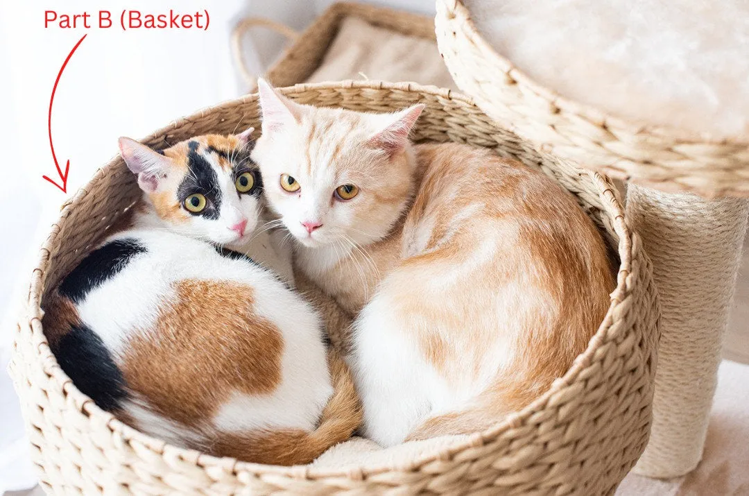 Cat Activity Tree | Cozy Natural