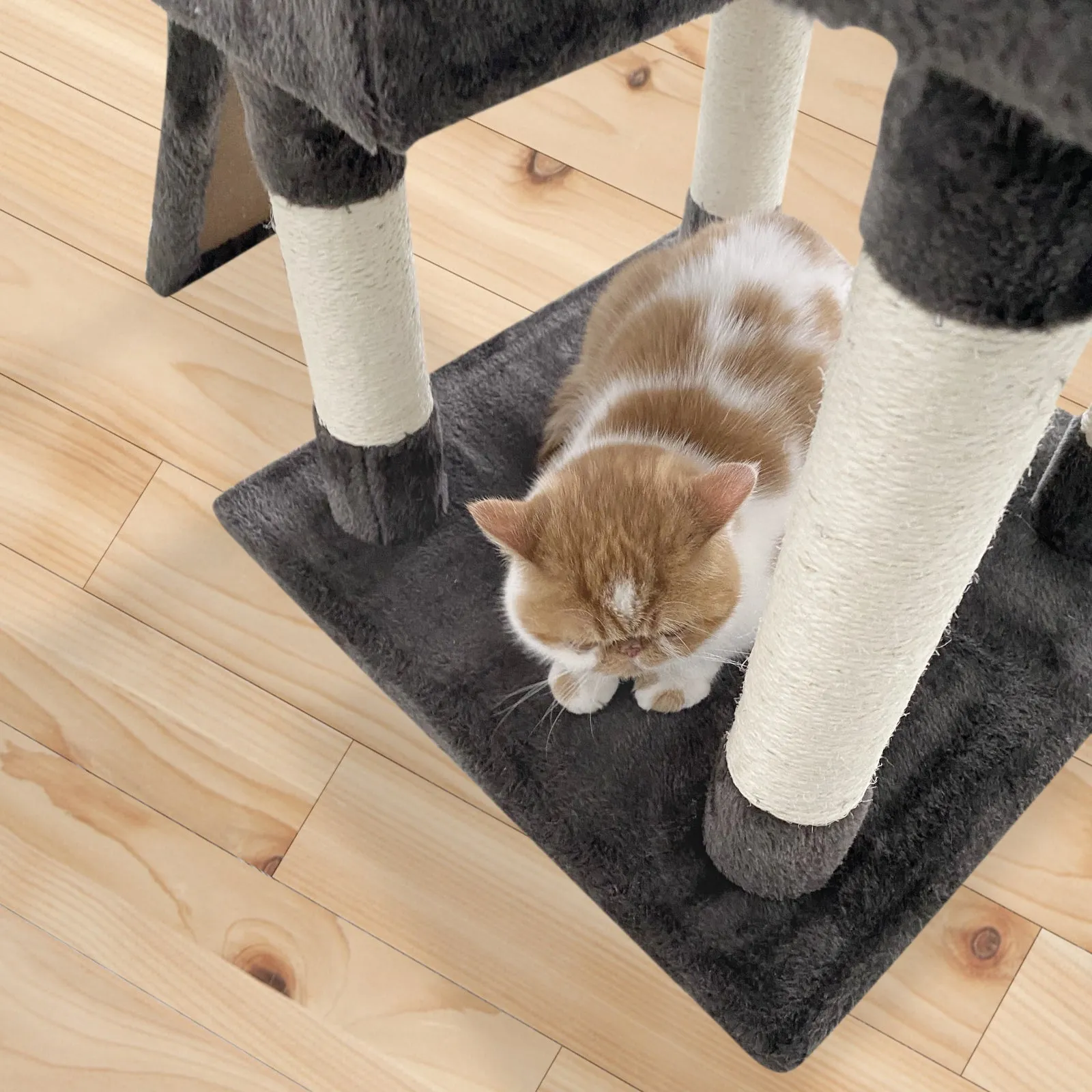 Confote 65-in Multi-Level Cat Tree Tower for Medium Cats&Kitten, Dark Brown