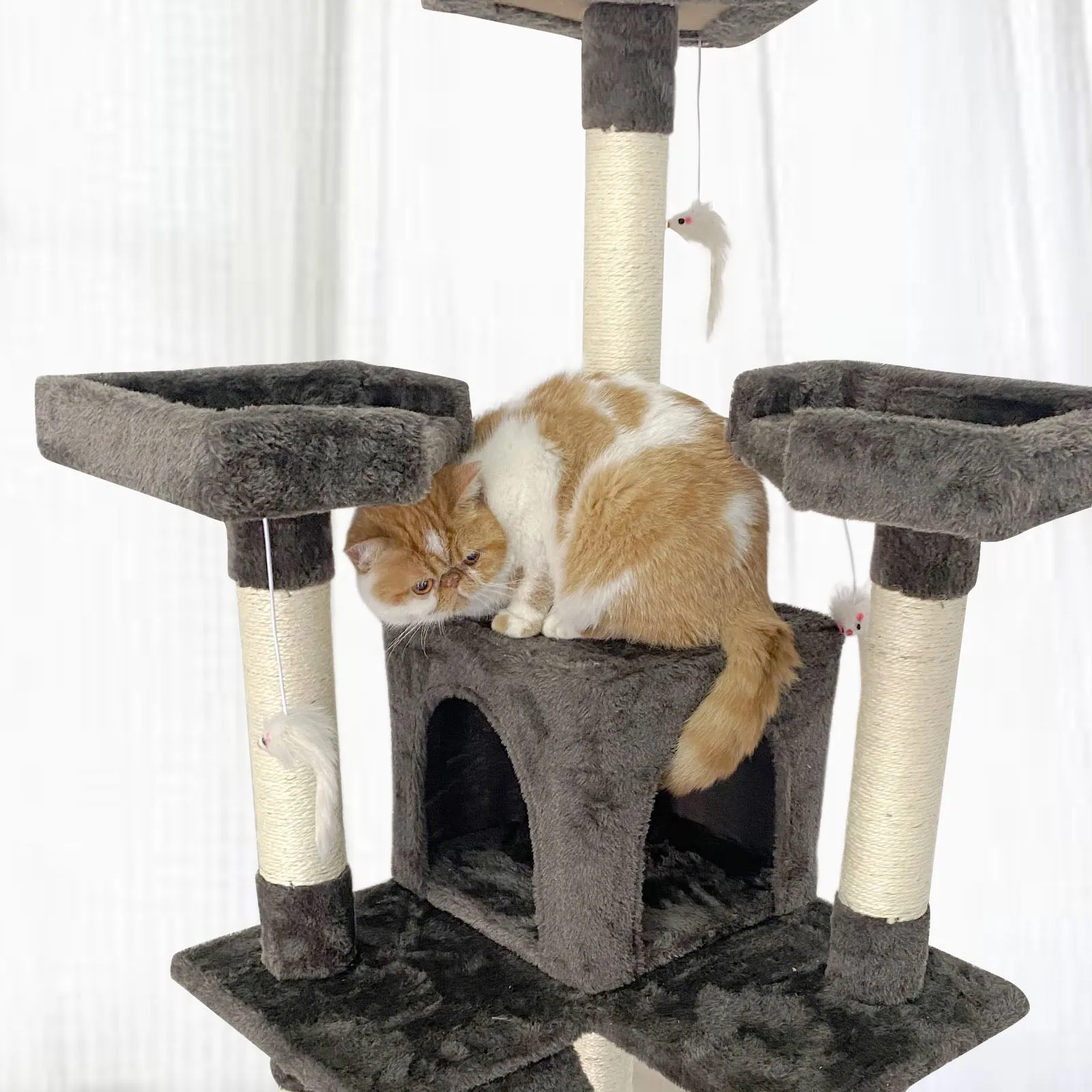 Confote 65-in Multi-Level Cat Tree Tower for Medium Cats&Kitten, Dark Brown