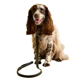 Joules Leather Dog Lead - Navy