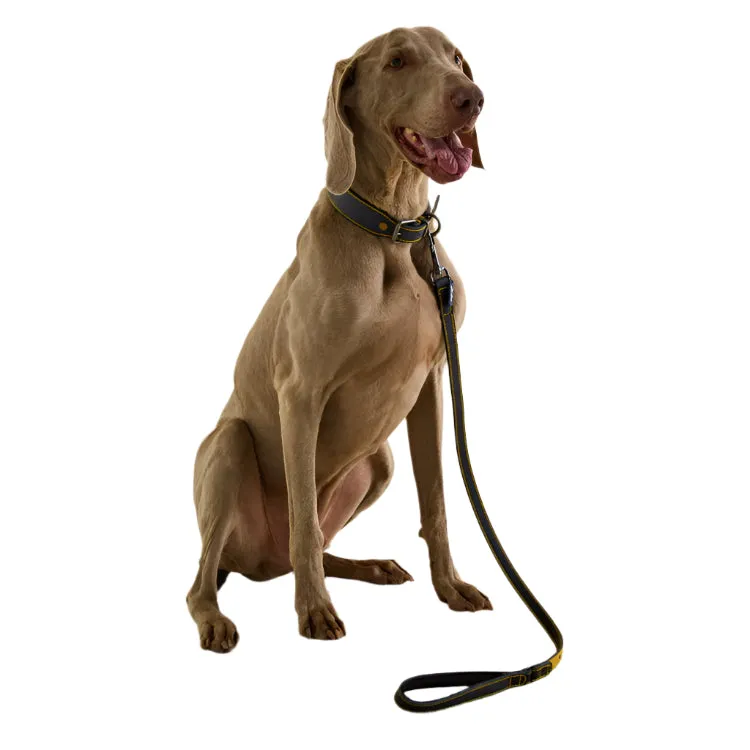 Joules Leather Dog Lead - Navy