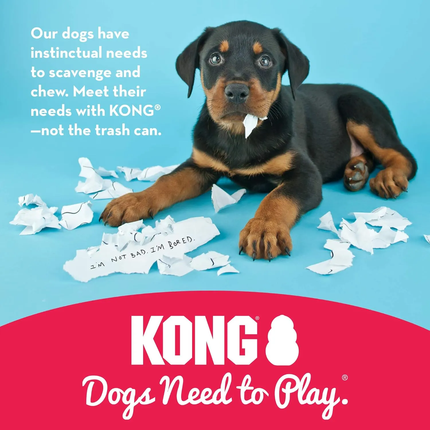 KONG Puppy - Natural Teething Rubber Chew Toy for Dogs - Stuffable Dog Toy for Extended Playtime - Chew & Fetch Toy for Puppies - for Small Puppies - Blue