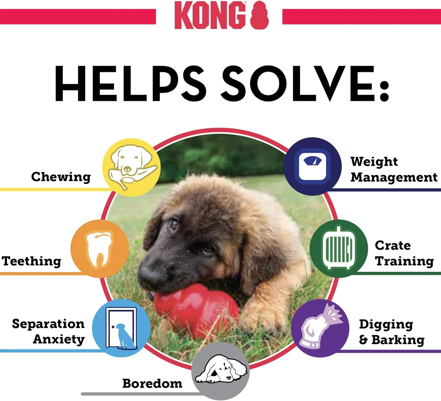 KONG Puppy - Natural Teething Rubber Chew Toy for Dogs - Stuffable Dog Toy for Extended Playtime - Chew & Fetch Toy for Puppies - for Small Puppies - Blue