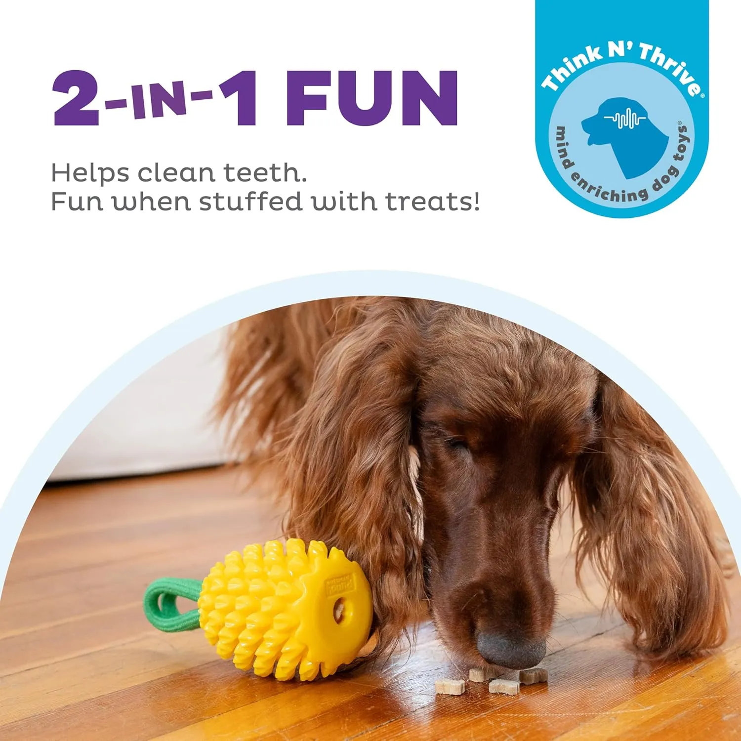 Outward Hound by Planet Dog Dental Pineapple 2-in-1 Interactive Dog Chew Toy and Treat Stuffer, Medium, Yellow