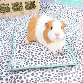 Pee Pad | Dreamy Dalmatian
