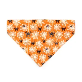Pet Bandana - "Spooky Spiderwebs" - Halloween Glow-in-the-Dark Bandana for Cat   Small Dog / Slide-on Bandana / Over-the-Collar (One Size)