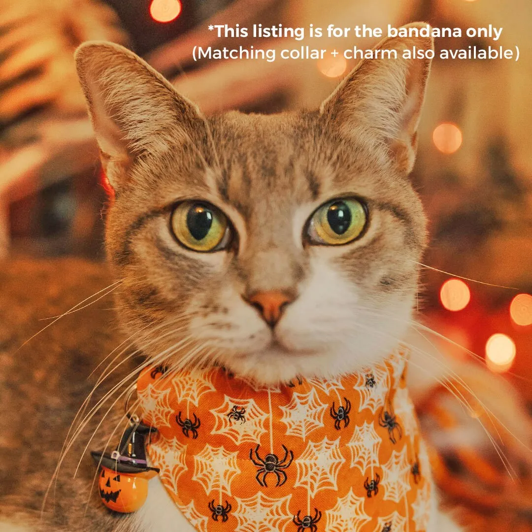 Pet Bandana - "Spooky Spiderwebs" - Halloween Glow-in-the-Dark Bandana for Cat   Small Dog / Slide-on Bandana / Over-the-Collar (One Size)