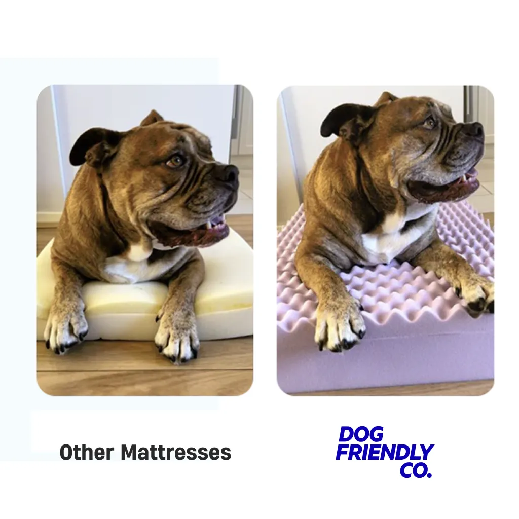 Premium Orthopedic Memory Foam Dog Bed - Pink (Small)