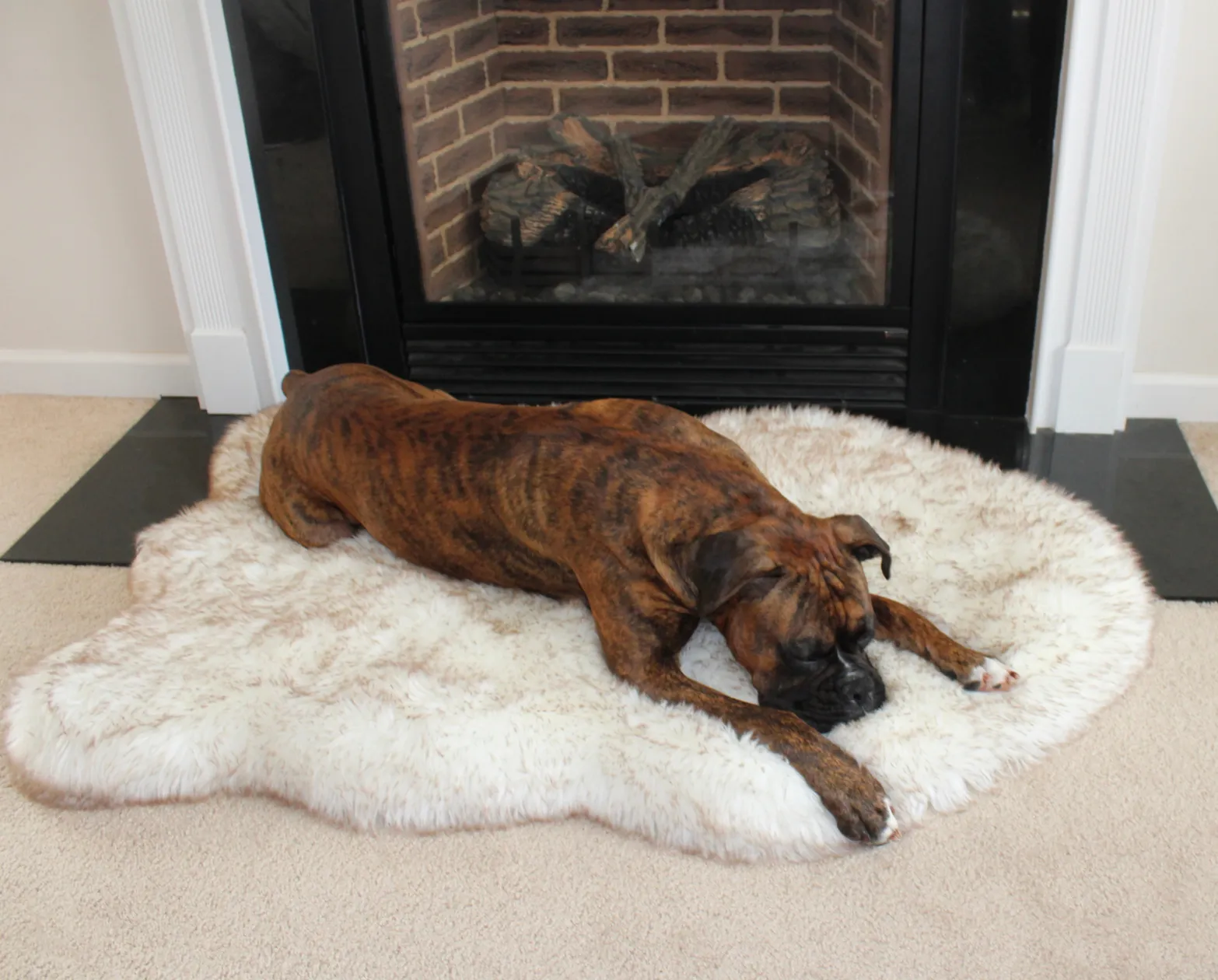 PupRug Faux Fur Orthopedic Dog Bed For Large To XL Dogs