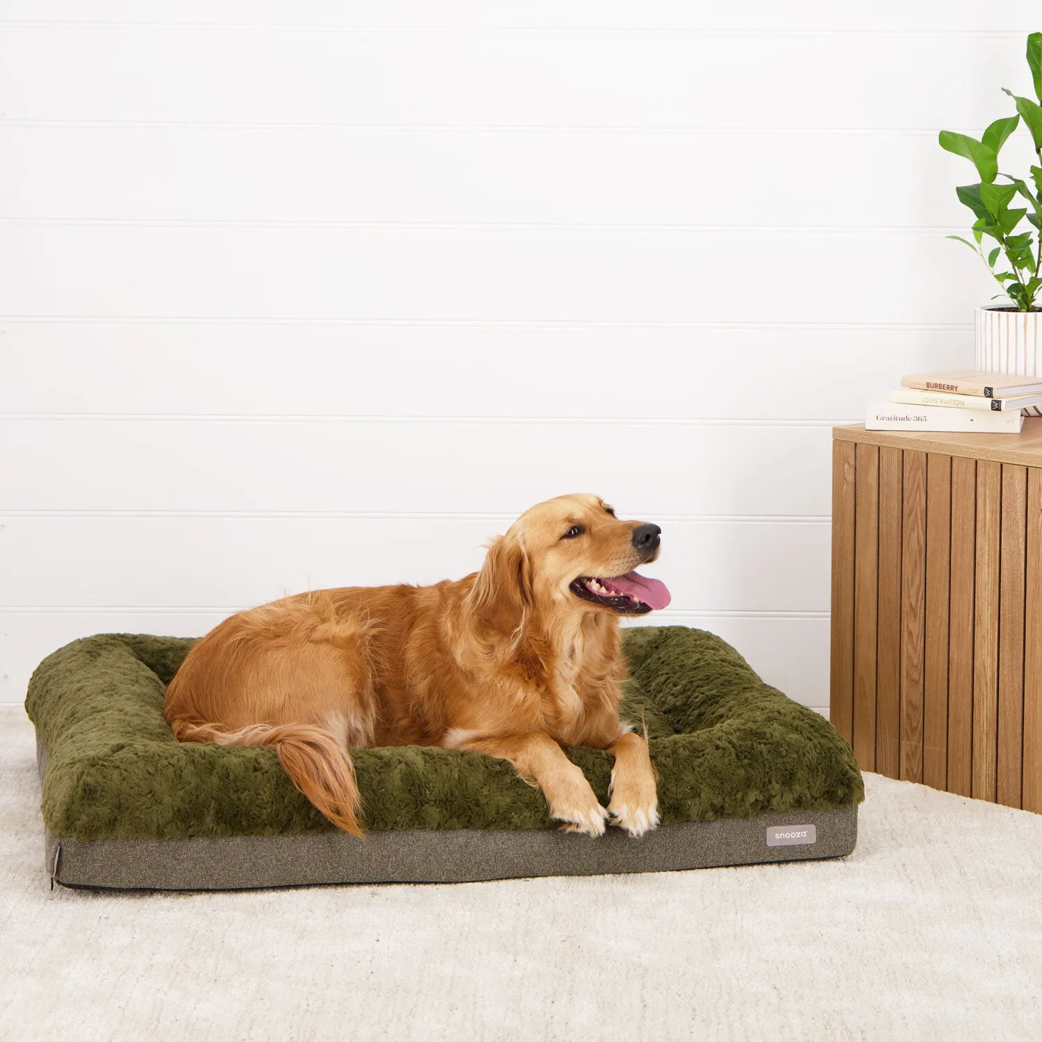 Ultra Comfort Lounge